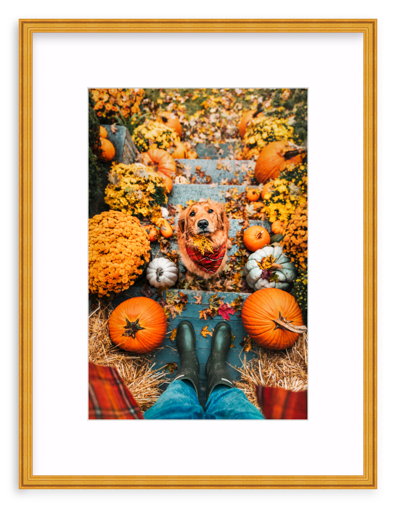 Leaf Retriever Framed Art Print