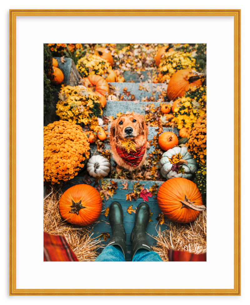 Leaf Retriever Framed Art Print