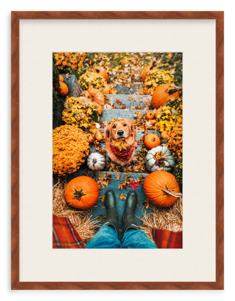 Leaf Retriever Framed Art Print