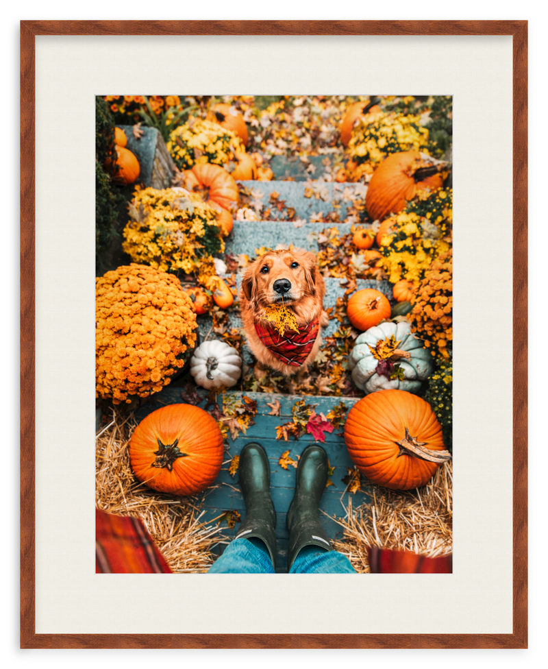 Leaf Retriever Framed Art Print