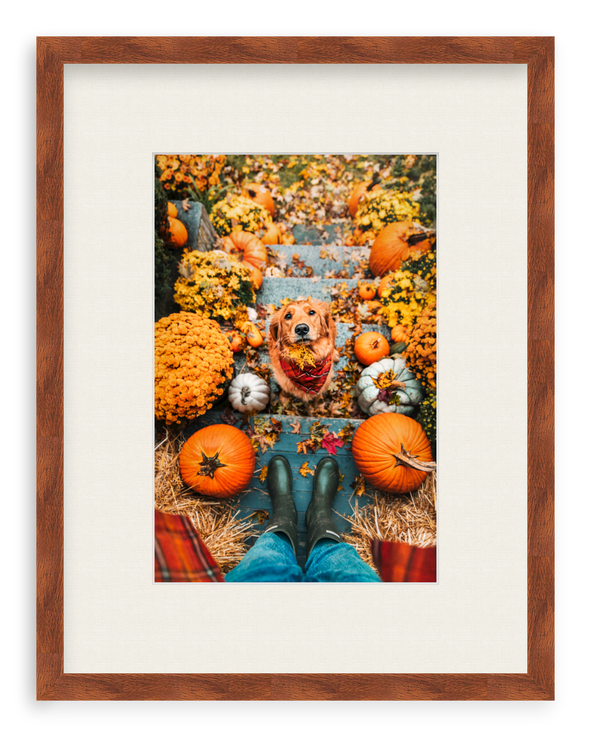 Leaf Retriever Framed Art Print