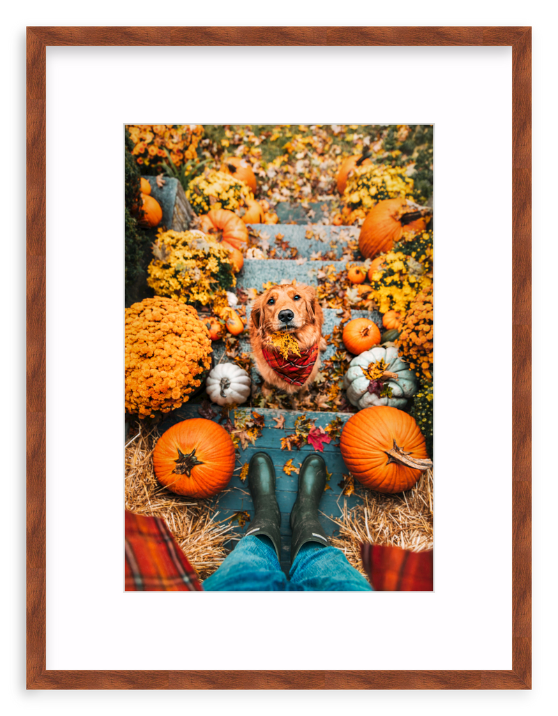 Leaf Retriever Framed Art Print