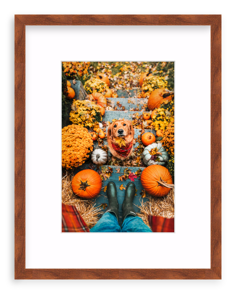 Leaf Retriever Framed Art Print
