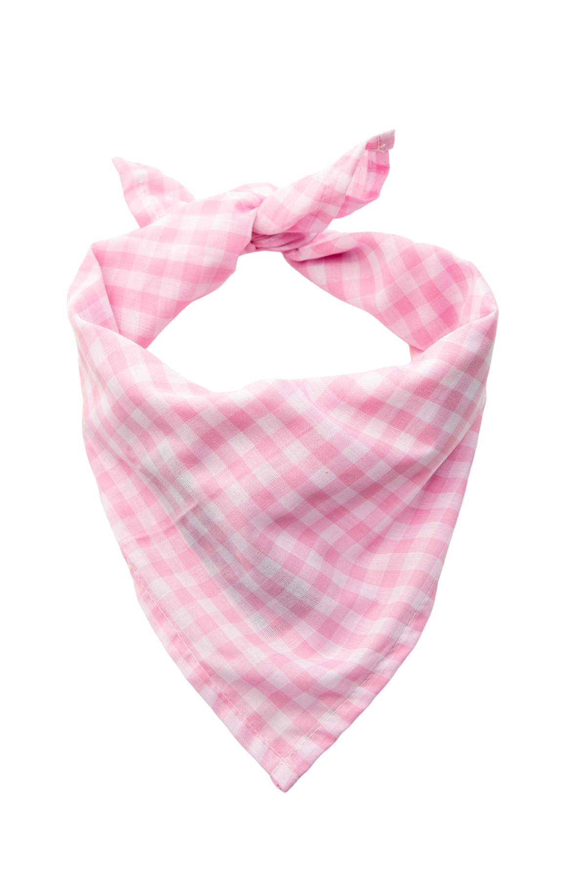 Sconset Picnic Dog Bandana