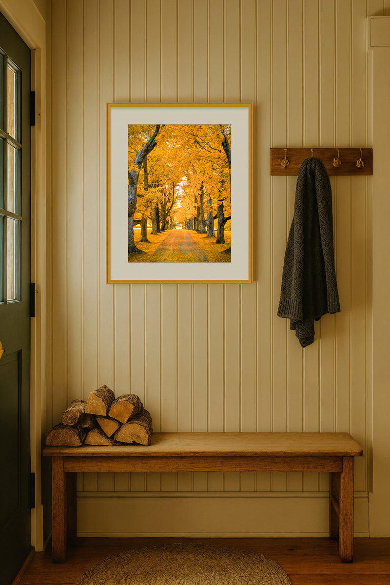 Golden Hour Framed Art Print