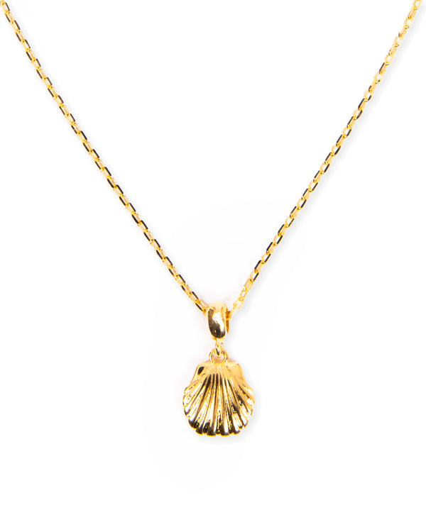 Seashell Charm Necklace in Gold
