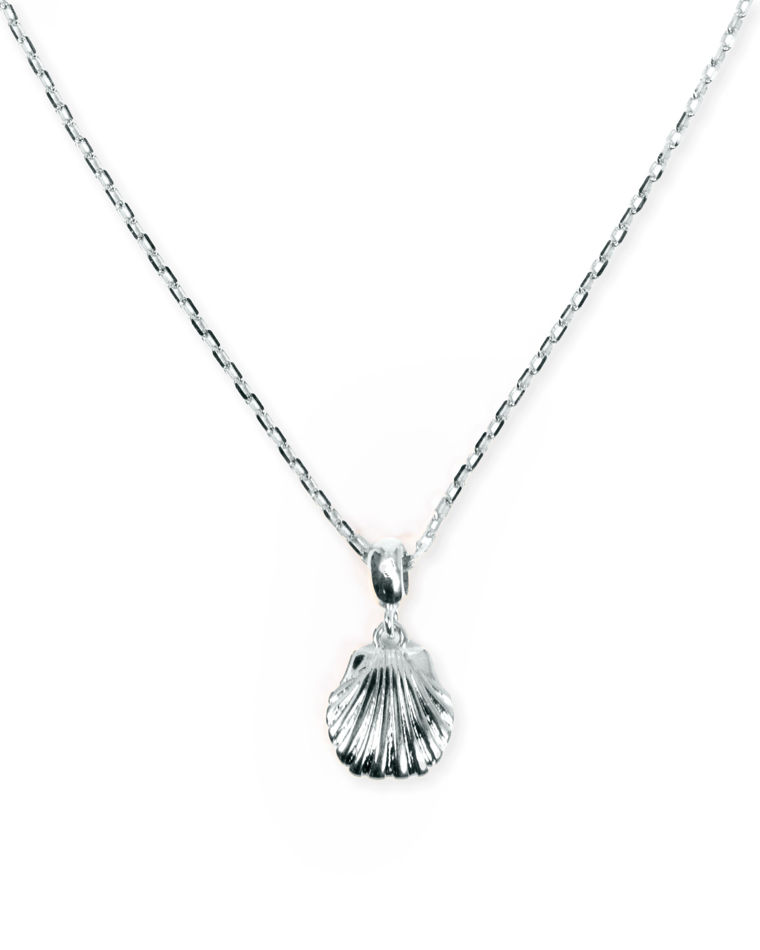 Seashell Charm Necklace in Silver