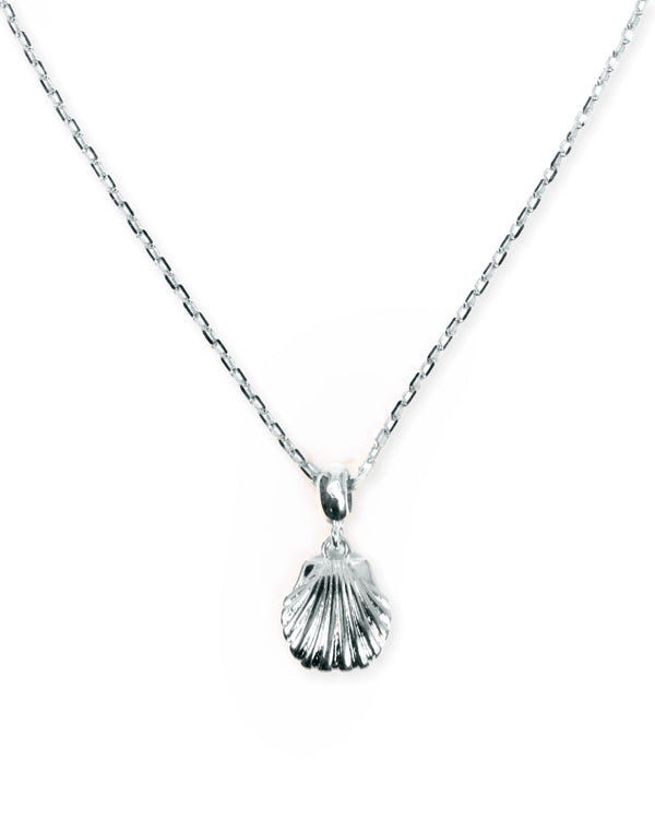 Seashell Charm Necklace in Silver