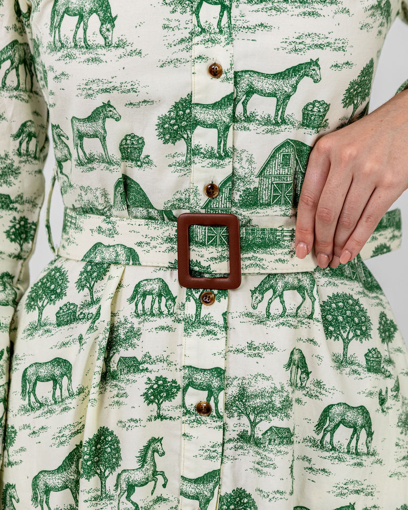 Stonewall Pasture Flannel Maxi Dress