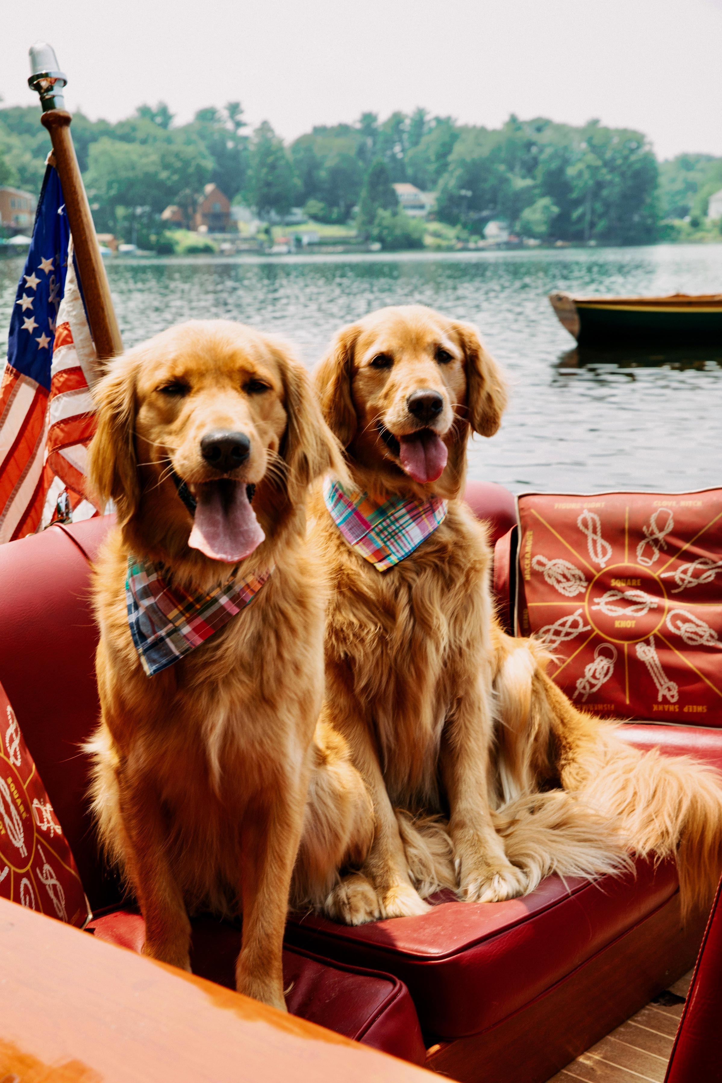 Newport Patchwork Madras Dog Bandana