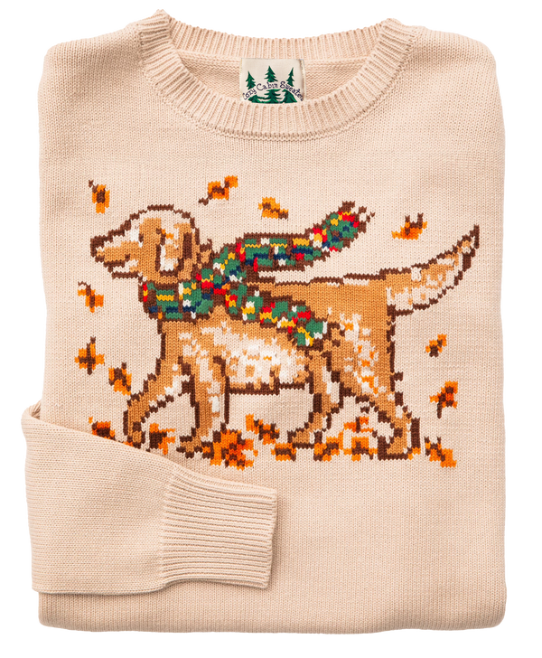 Autumn Stroll Sweater