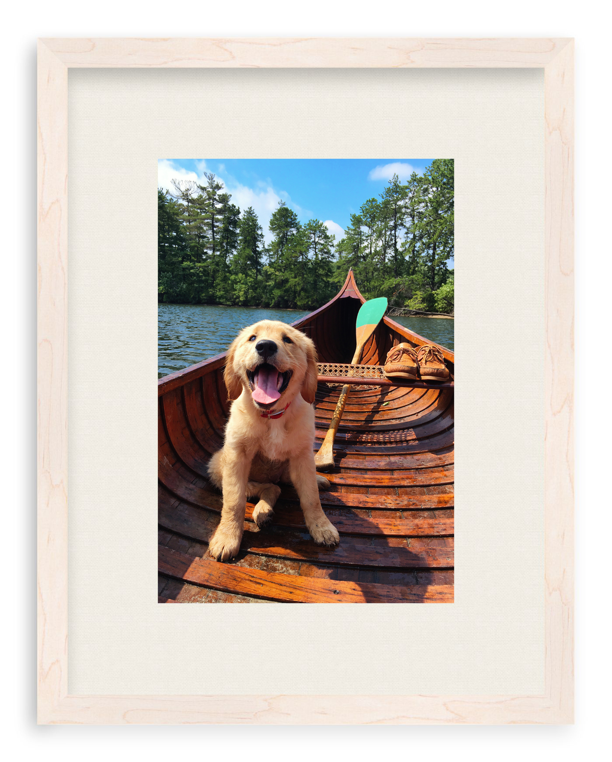 Doggie Paddle