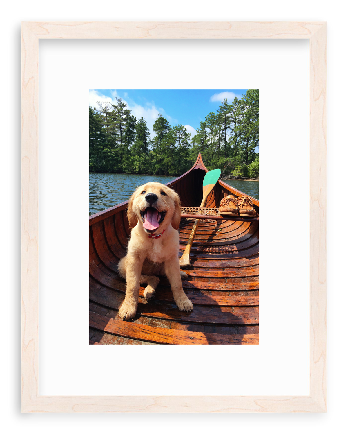 Doggie Paddle