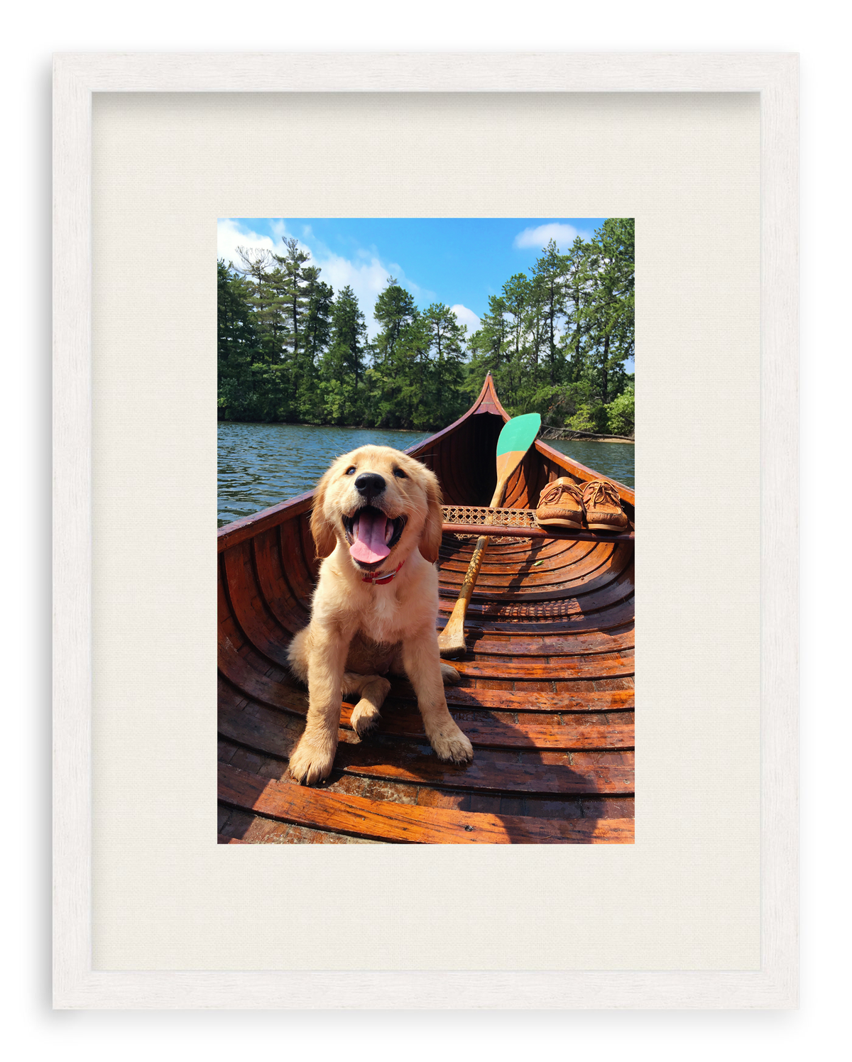 Doggie Paddle