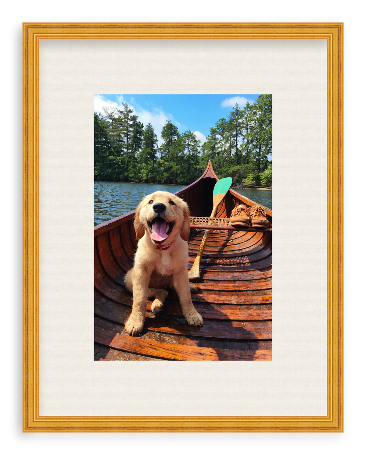 Doggie Paddle