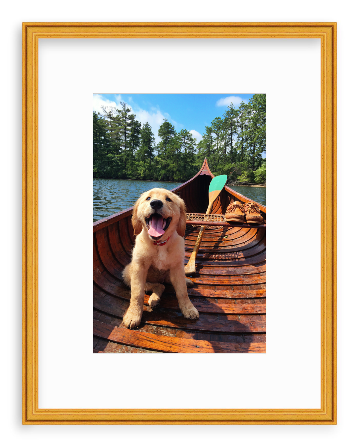 Doggie Paddle