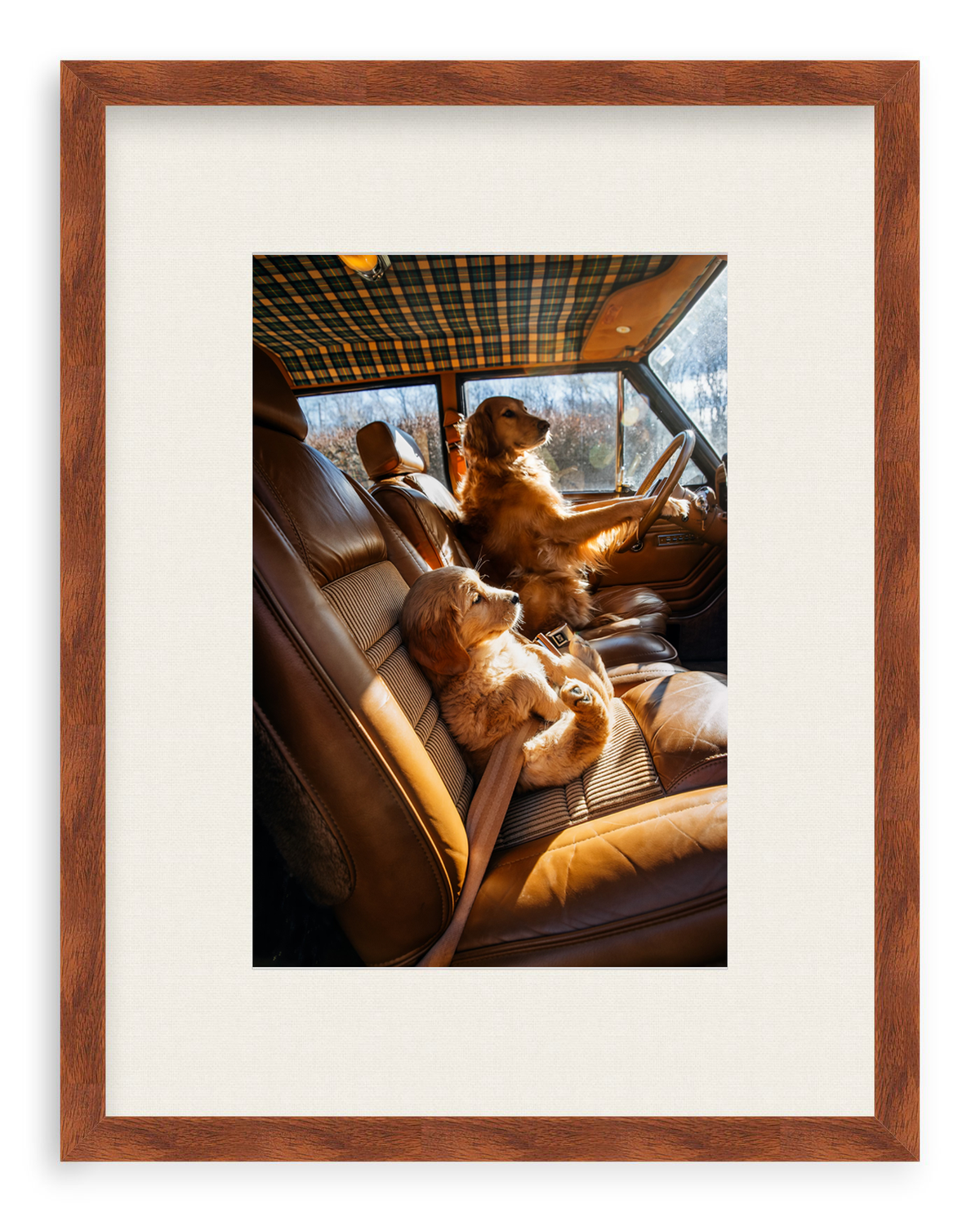 Bennie, Are We There Yet?
