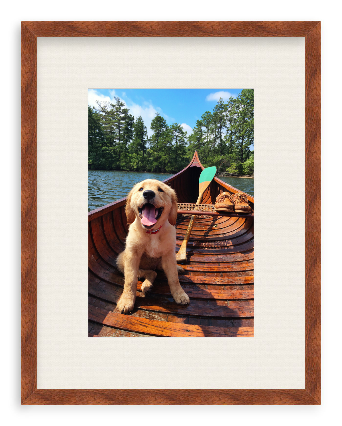 Doggie Paddle