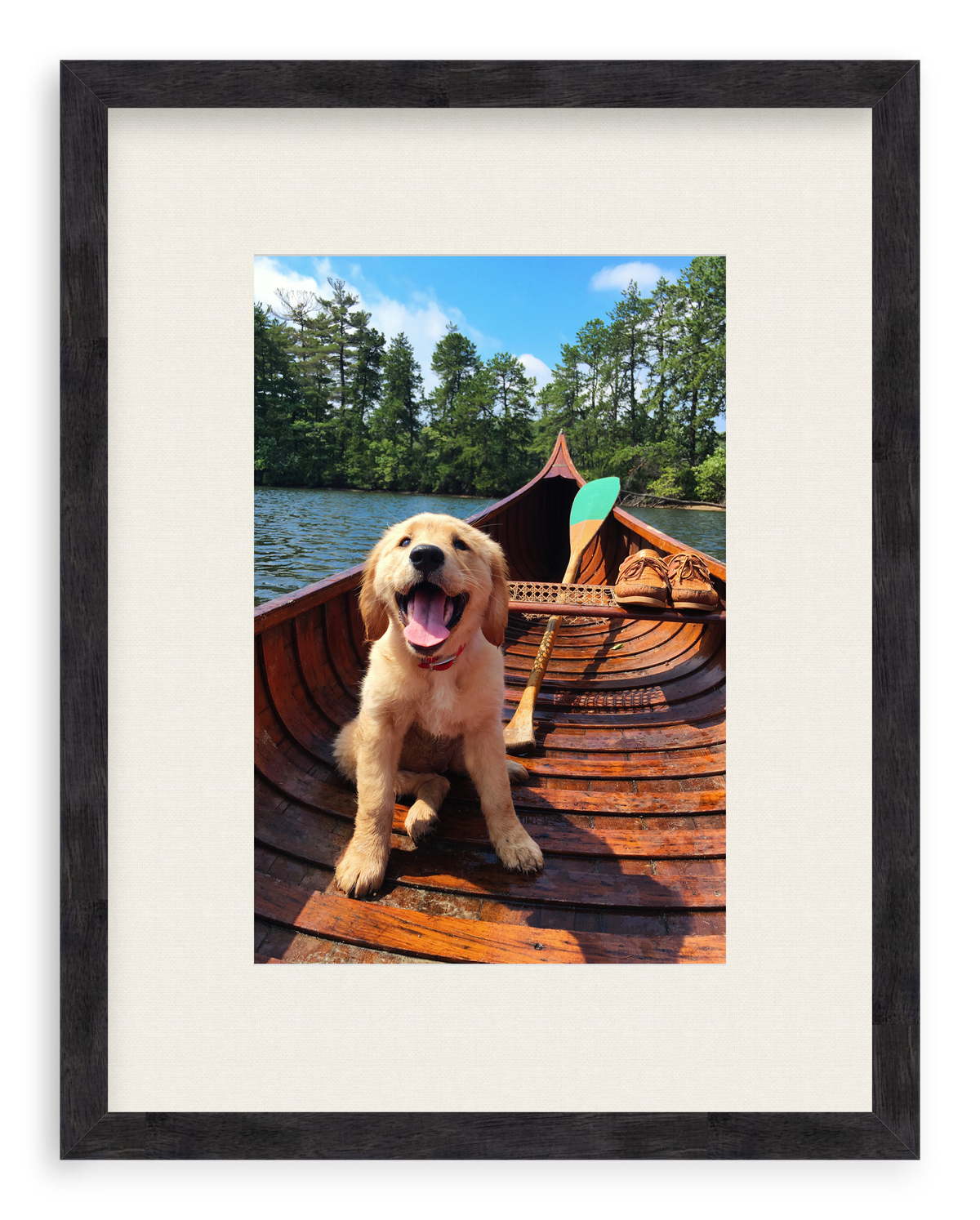 Doggie Paddle