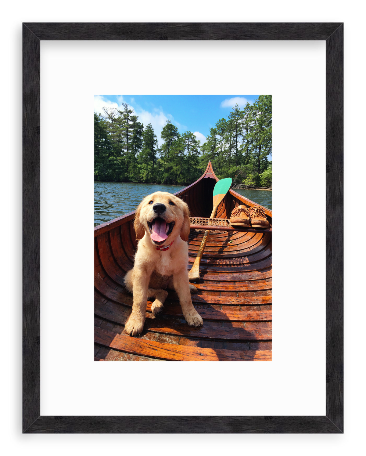 Doggie Paddle