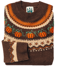 The Cozy Pumpkin Sweater - Women's