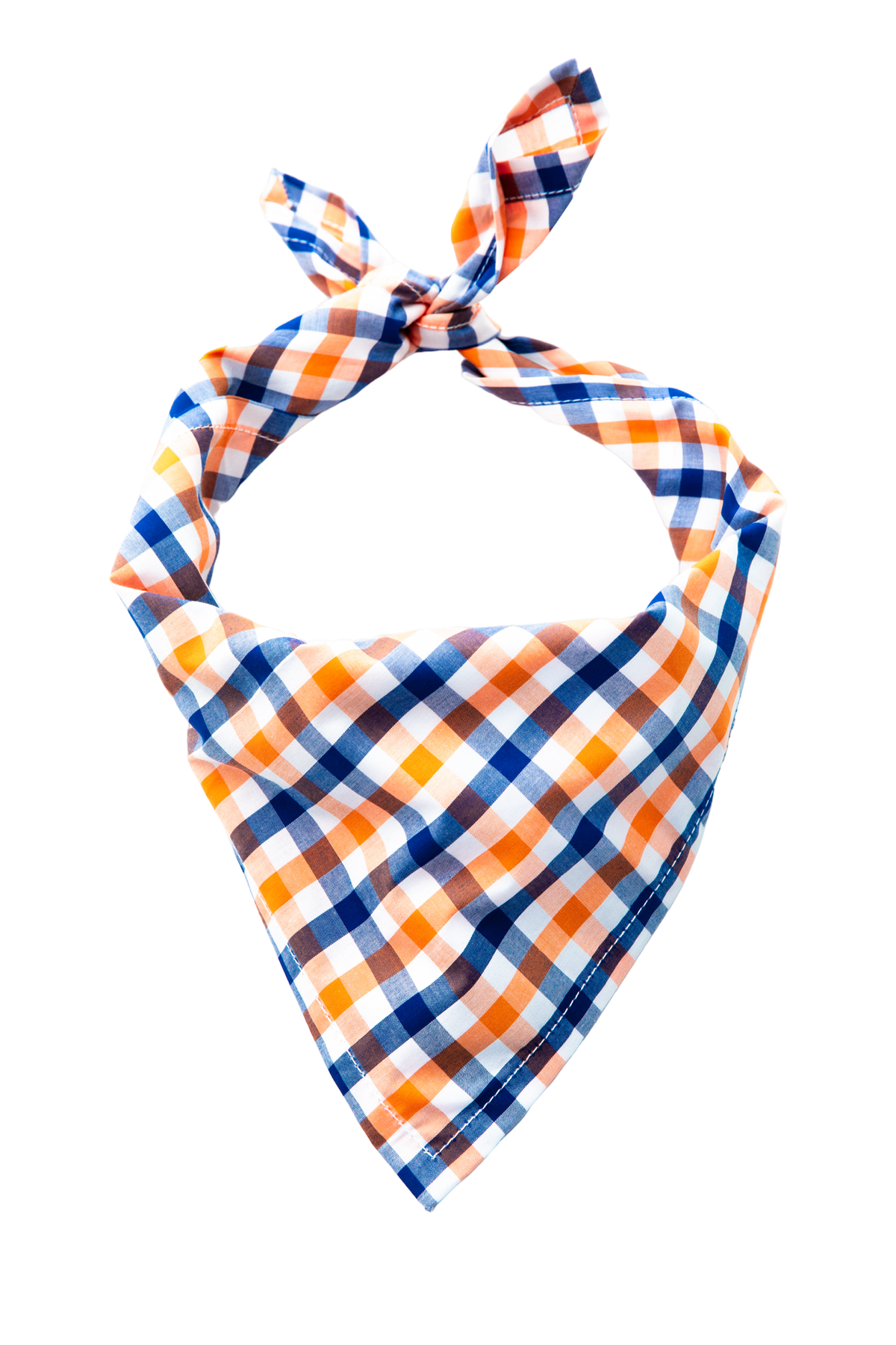 Falmouth Picnic Dog Bandana