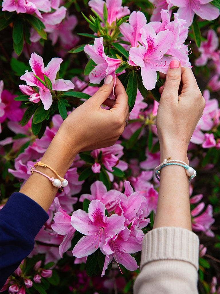 Pink Sands Pearl Knot Bracelet