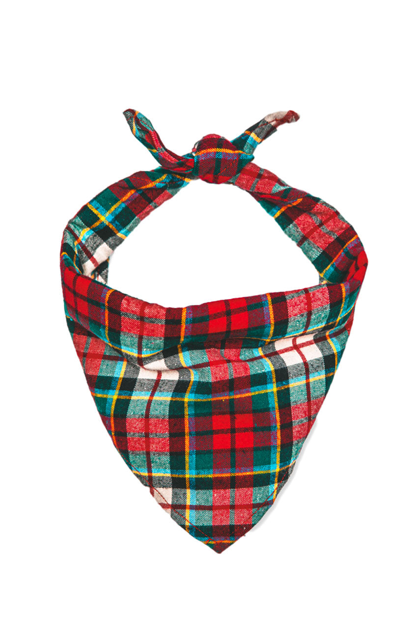 Home for the Holidays Dog Bandana