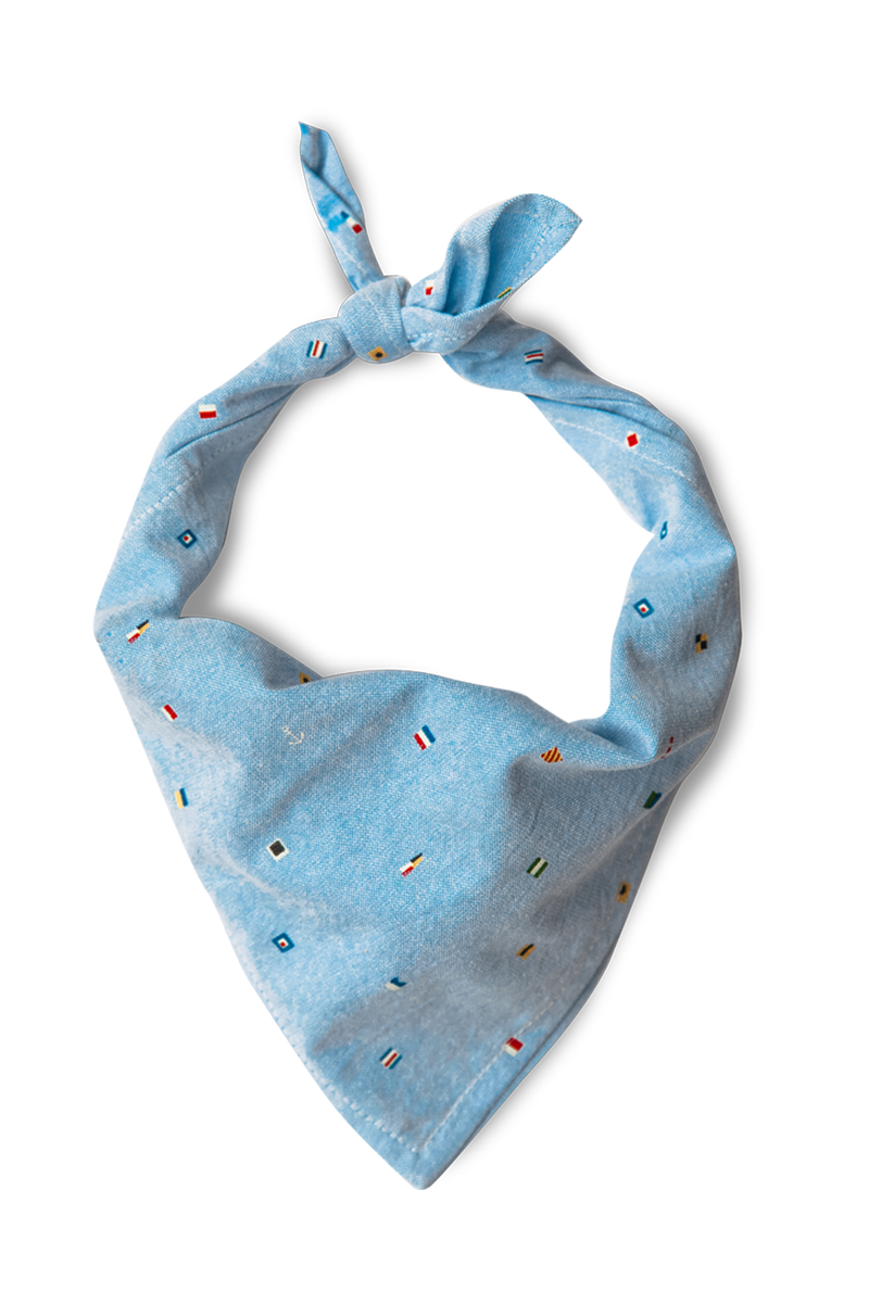 Seafari Bandana