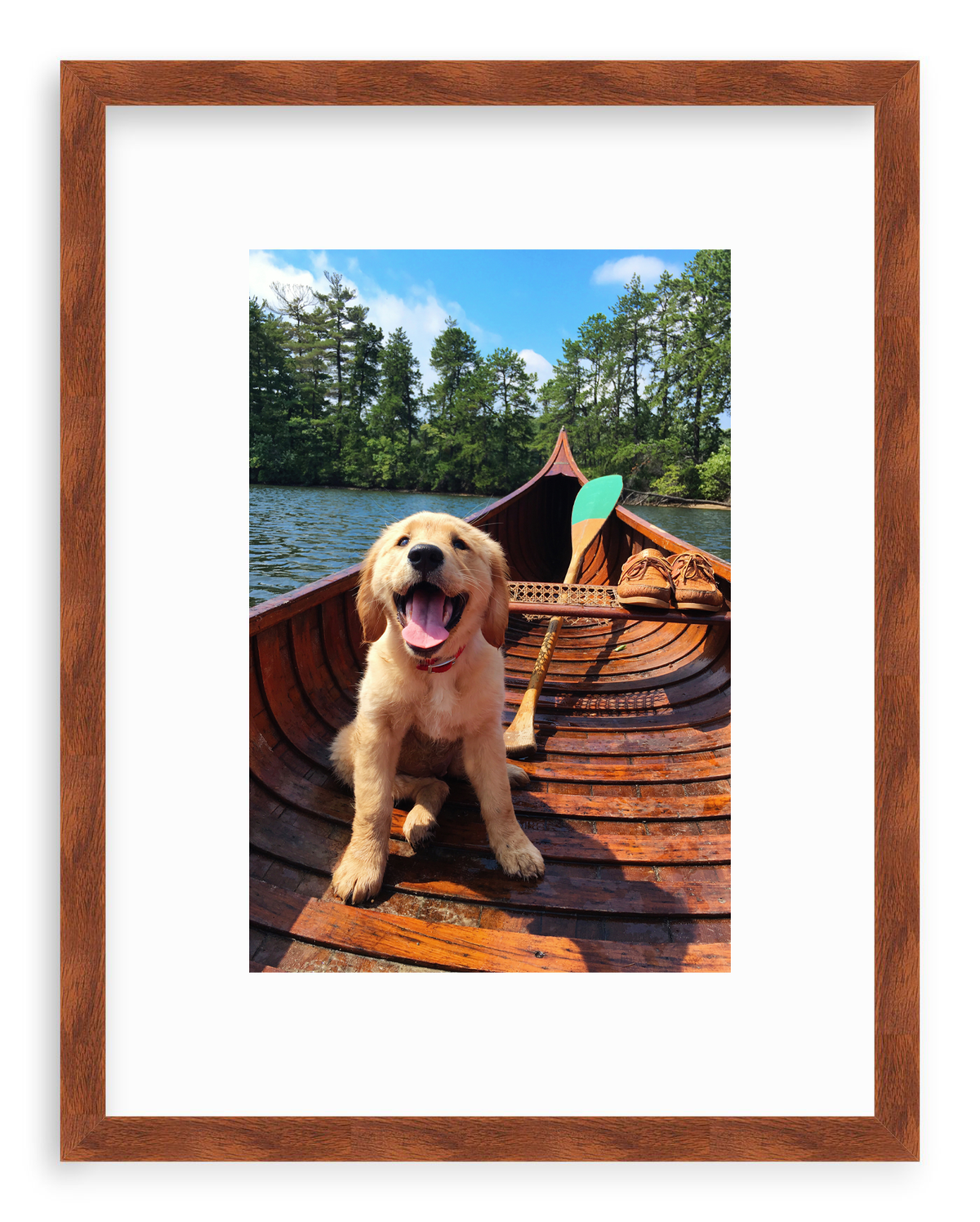 Doggie Paddle