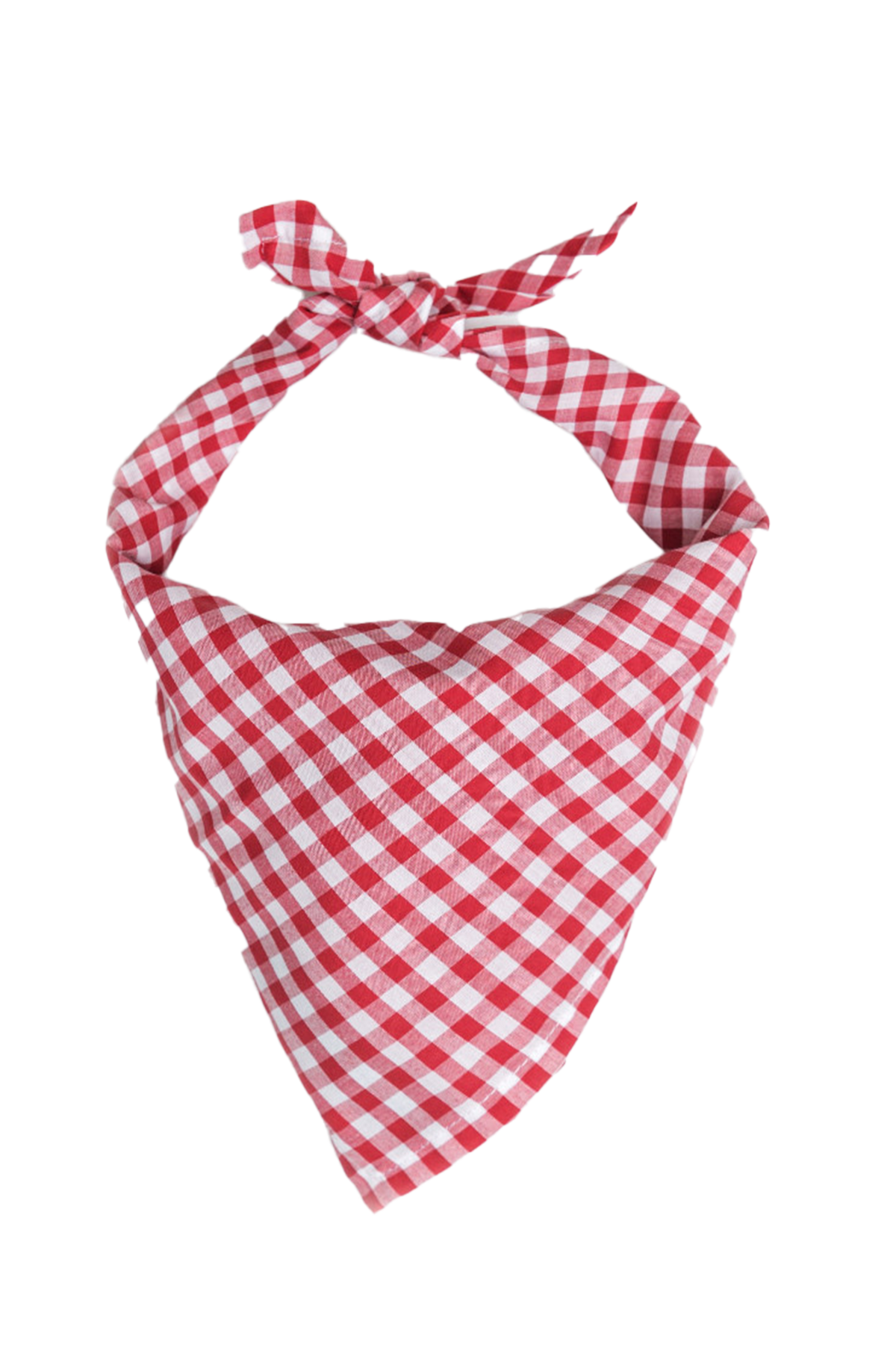 Vineyard Picnic Dog Bandana