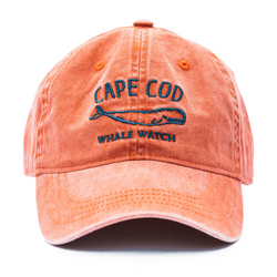 Cape Cod Whale Watch Hat