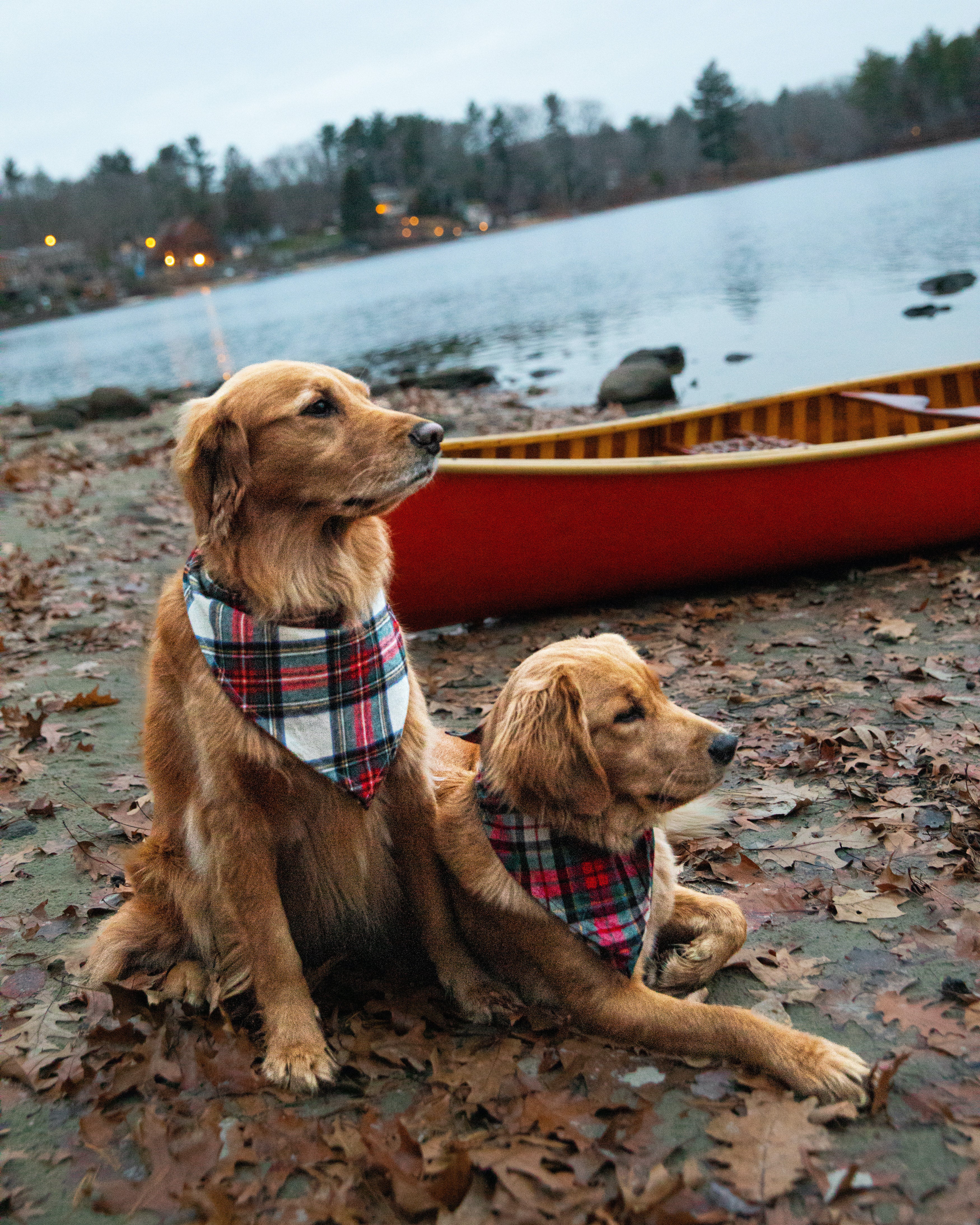 Santa Baby Flannel Dog Bandana
