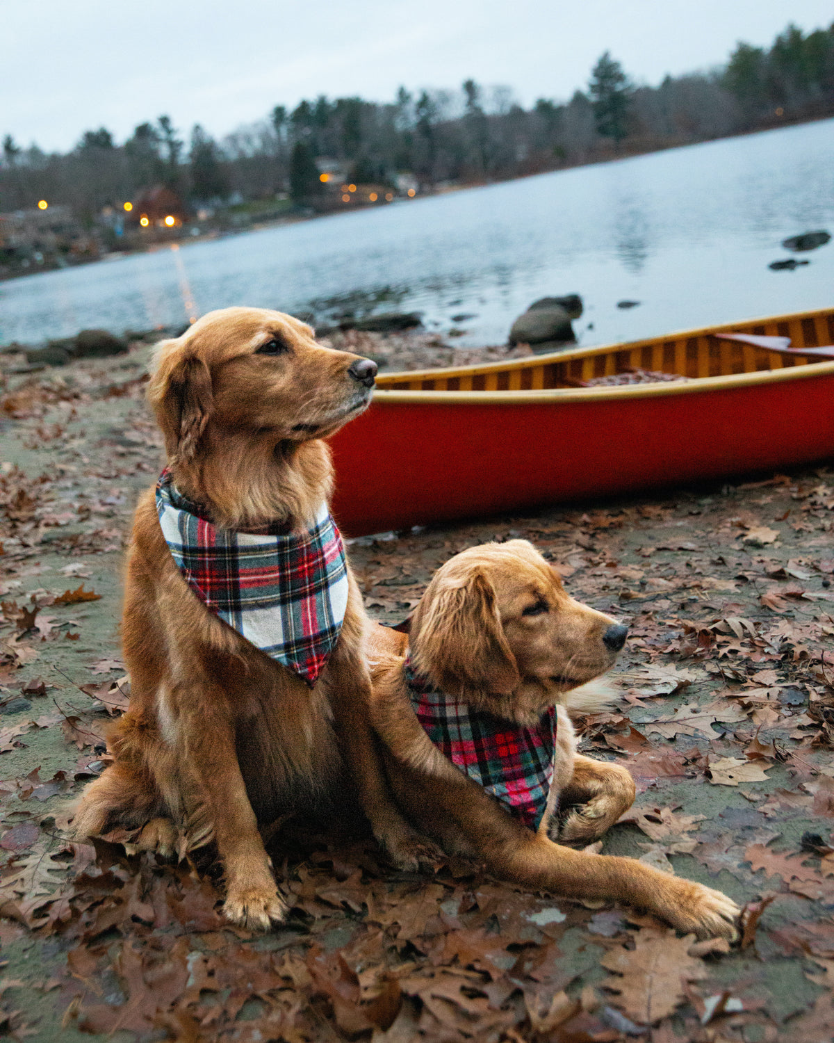 Santa Baby Flannel Dog Bandana