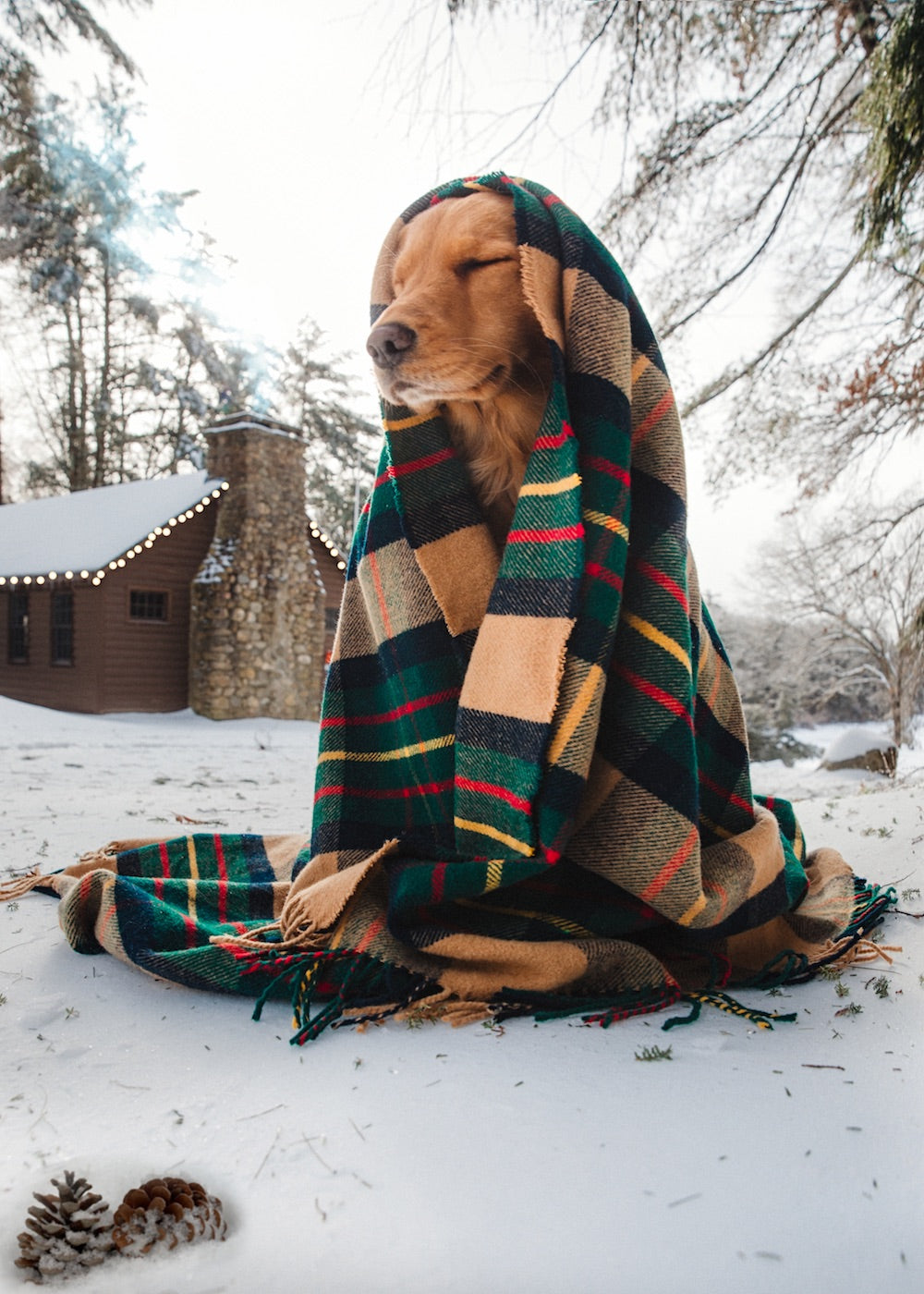 The New England House Tartan Blanket