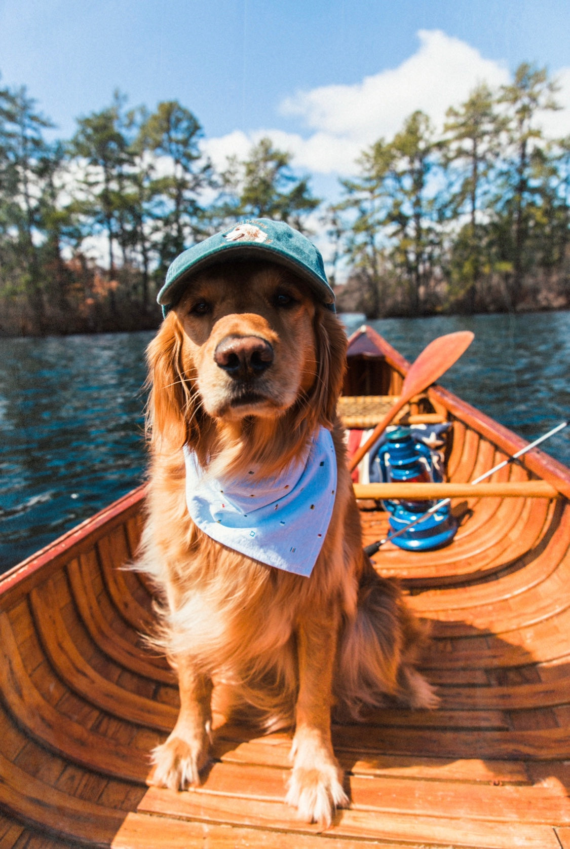 Seafari Dog Bandana