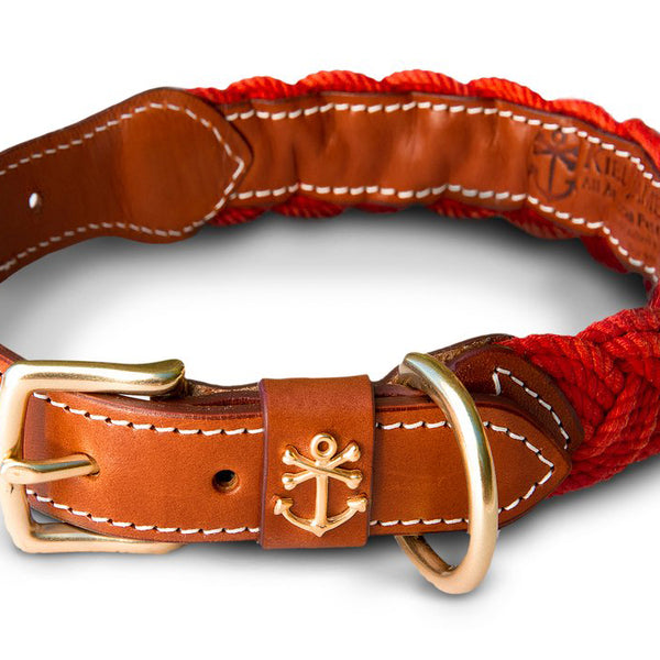 Narragansett Lifeguard Dog Collar Xs S
