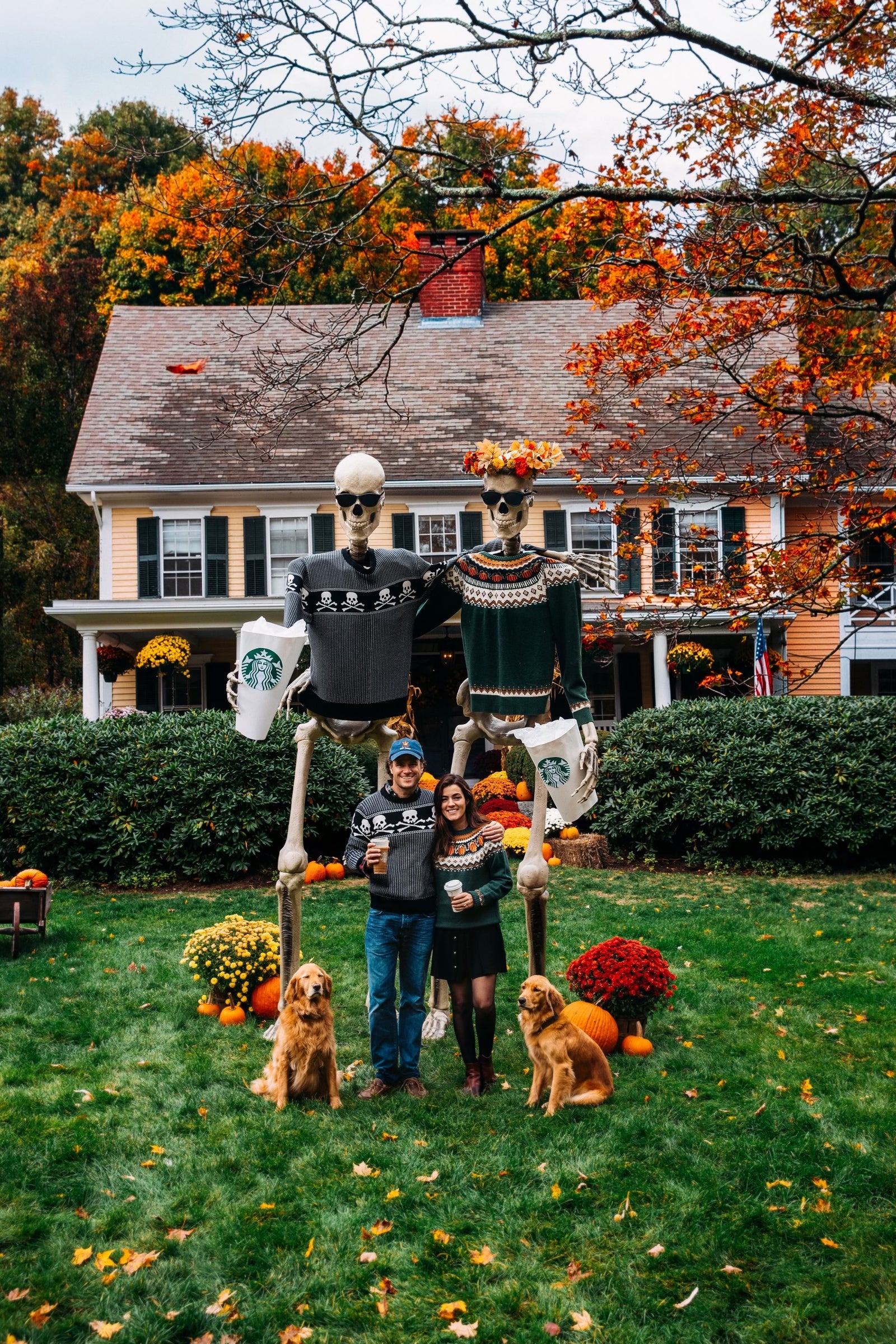 Skull & Bones Sweater – Kiel James Patrick