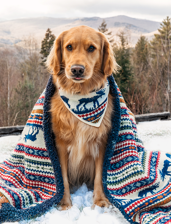 The Great Moose Knit Dog Bandana