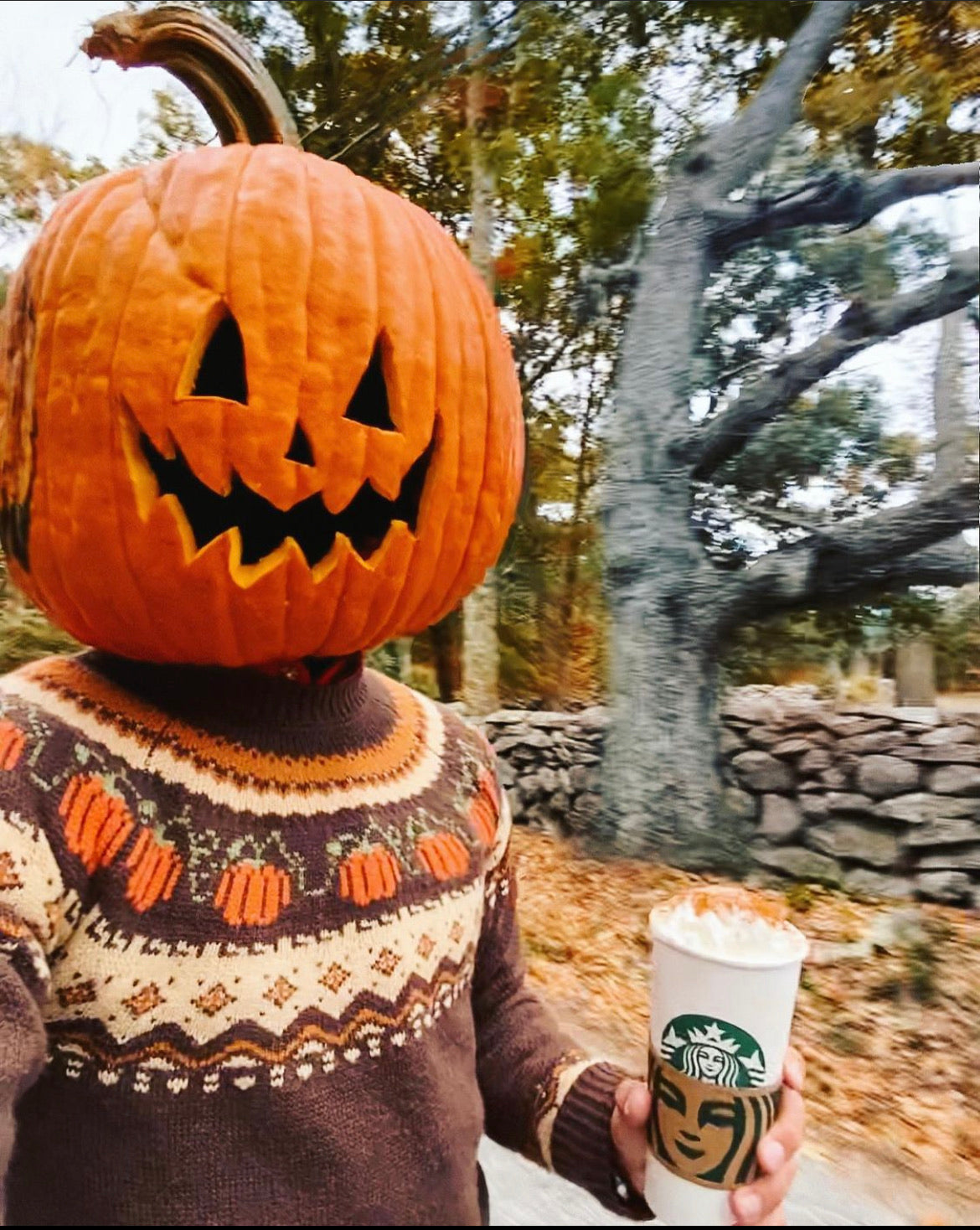 Cozy Pumpkin Sweater - Men's