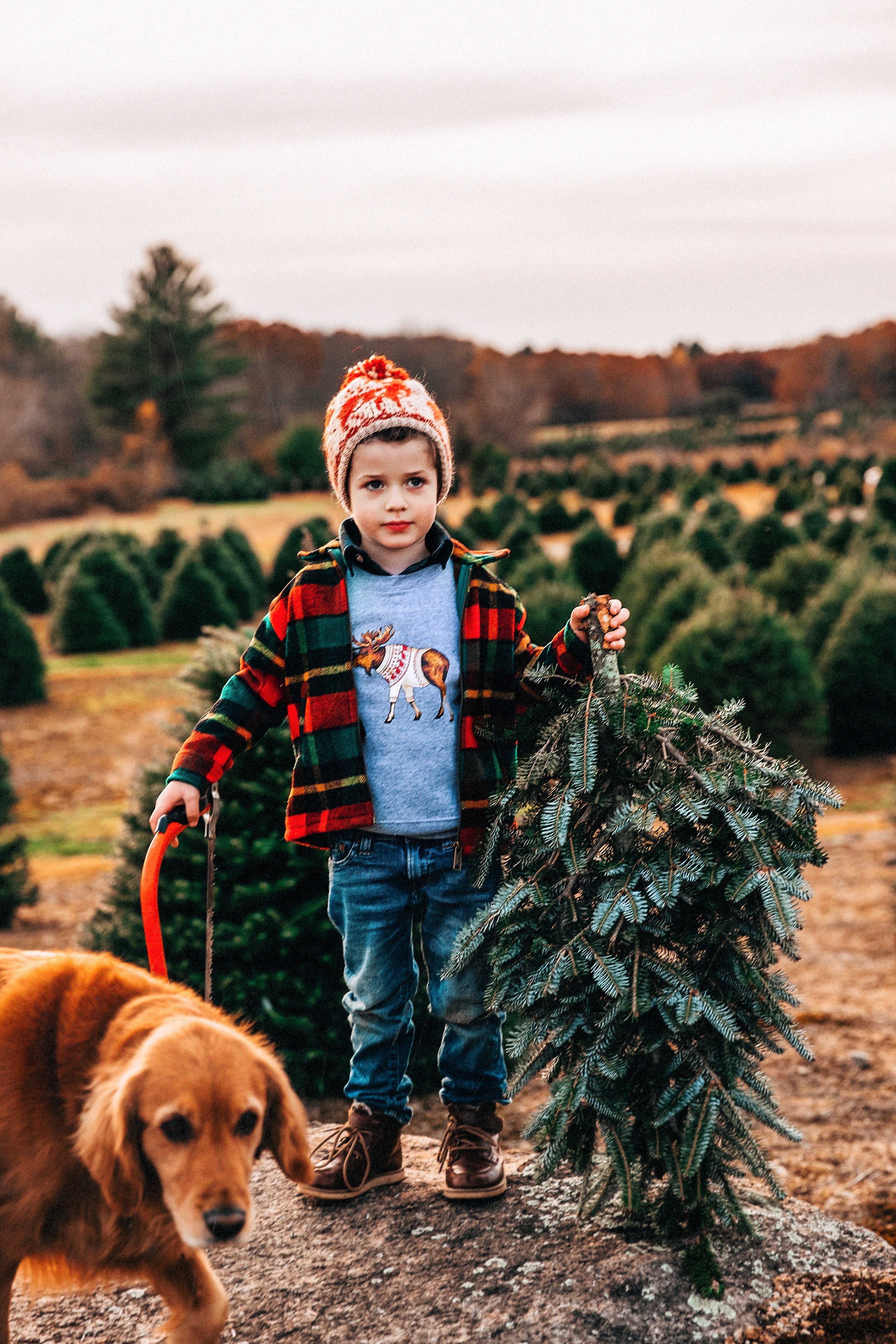 The McCallister Moose Kids Sweatshirt